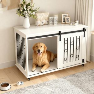 For Dog Lovers