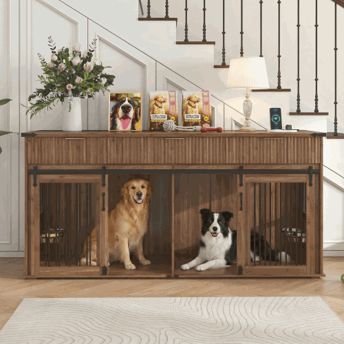 Dog pet furniture