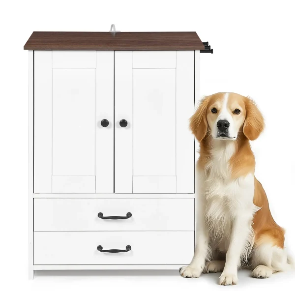 raised feeding station with a golden retriever sitting alongside