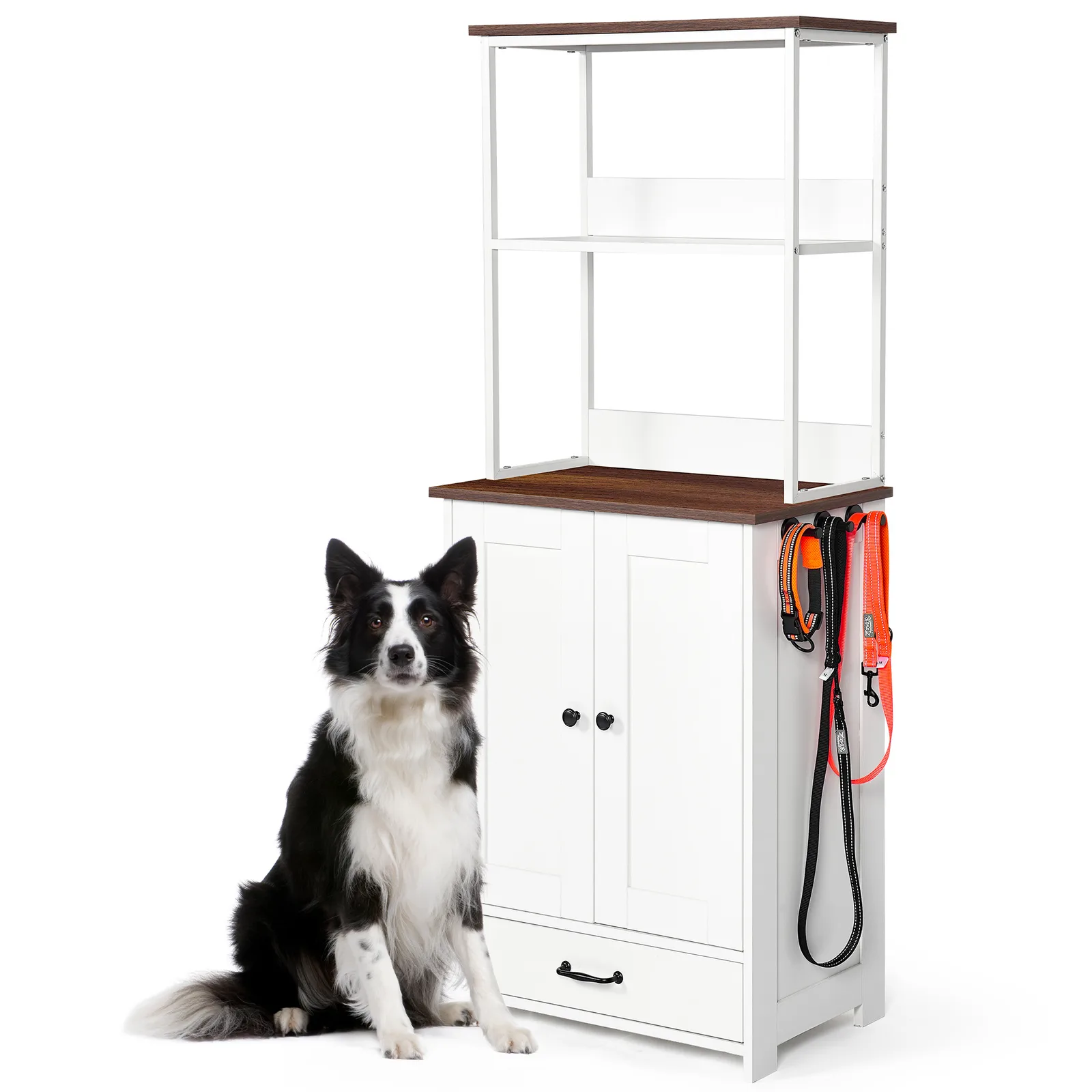 a border collie sitting alongside the bowl drawer