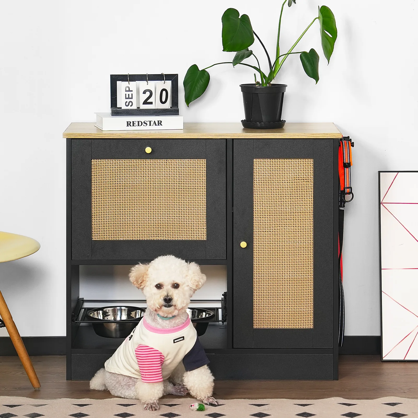 dog food cabinet with a small dog sitting in front