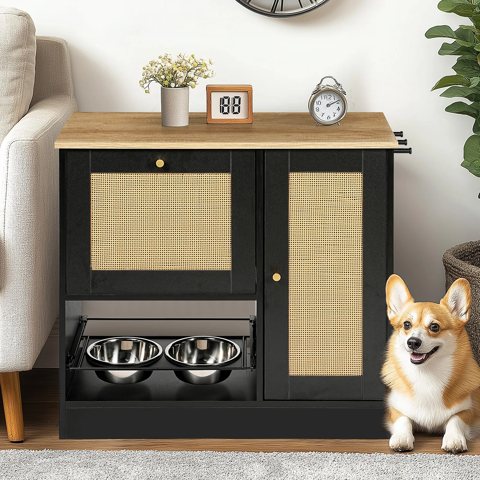 black and vintage cabinet with a corgi beside the bowl drawer