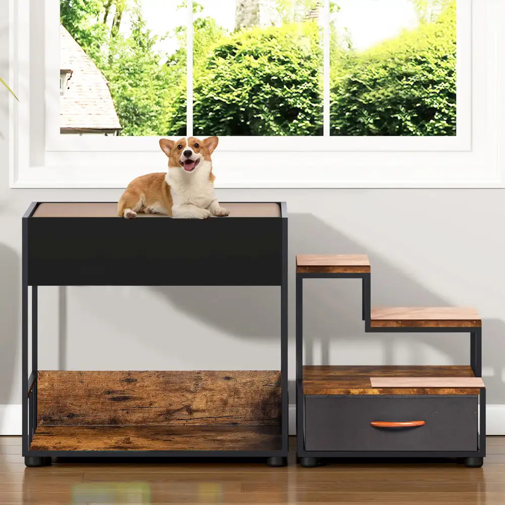 Corgi lounges on the cushioned top bunk of a black pet window perch placed beneath a bright window