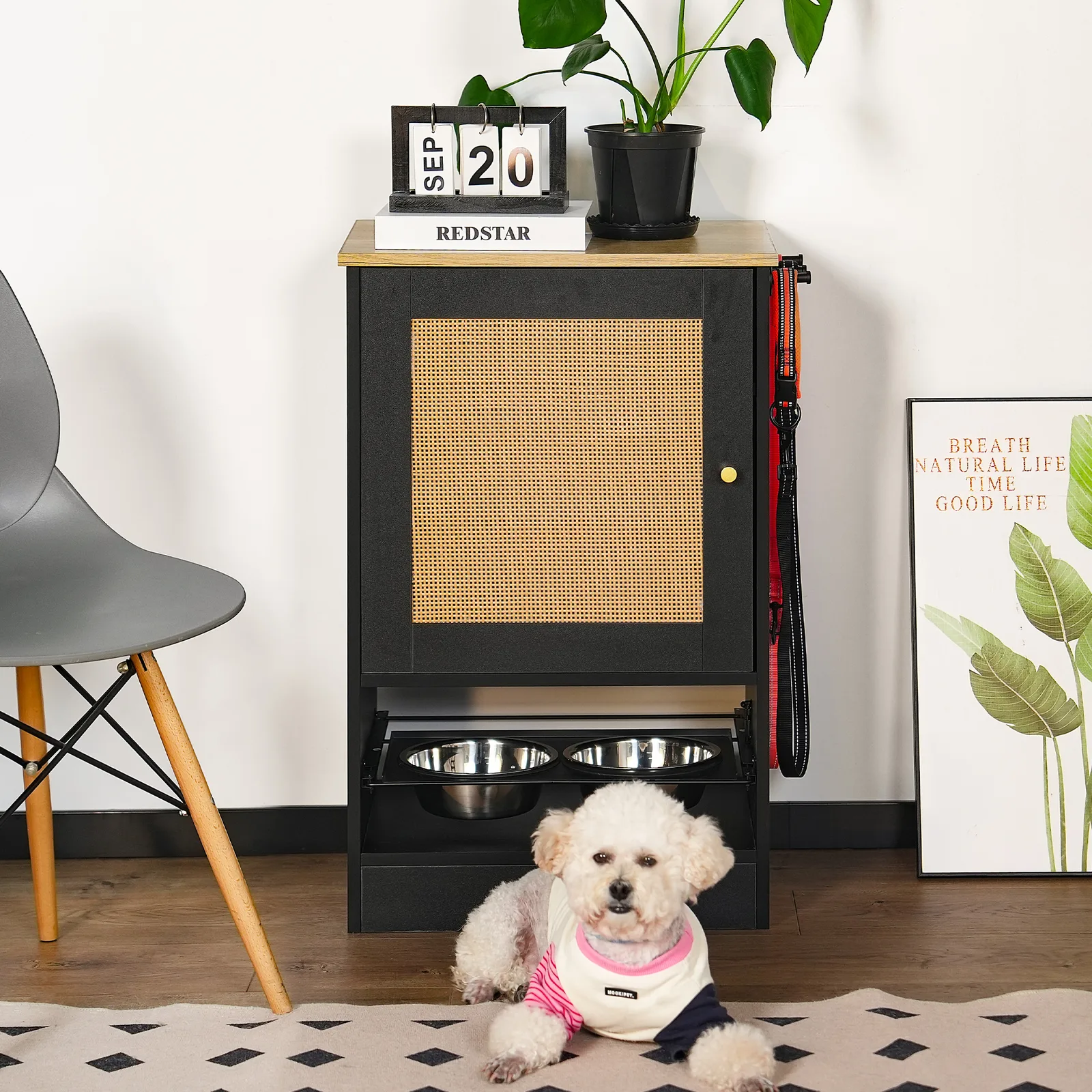 hidden pet feeder in black and vintage beside a chair with a small dog