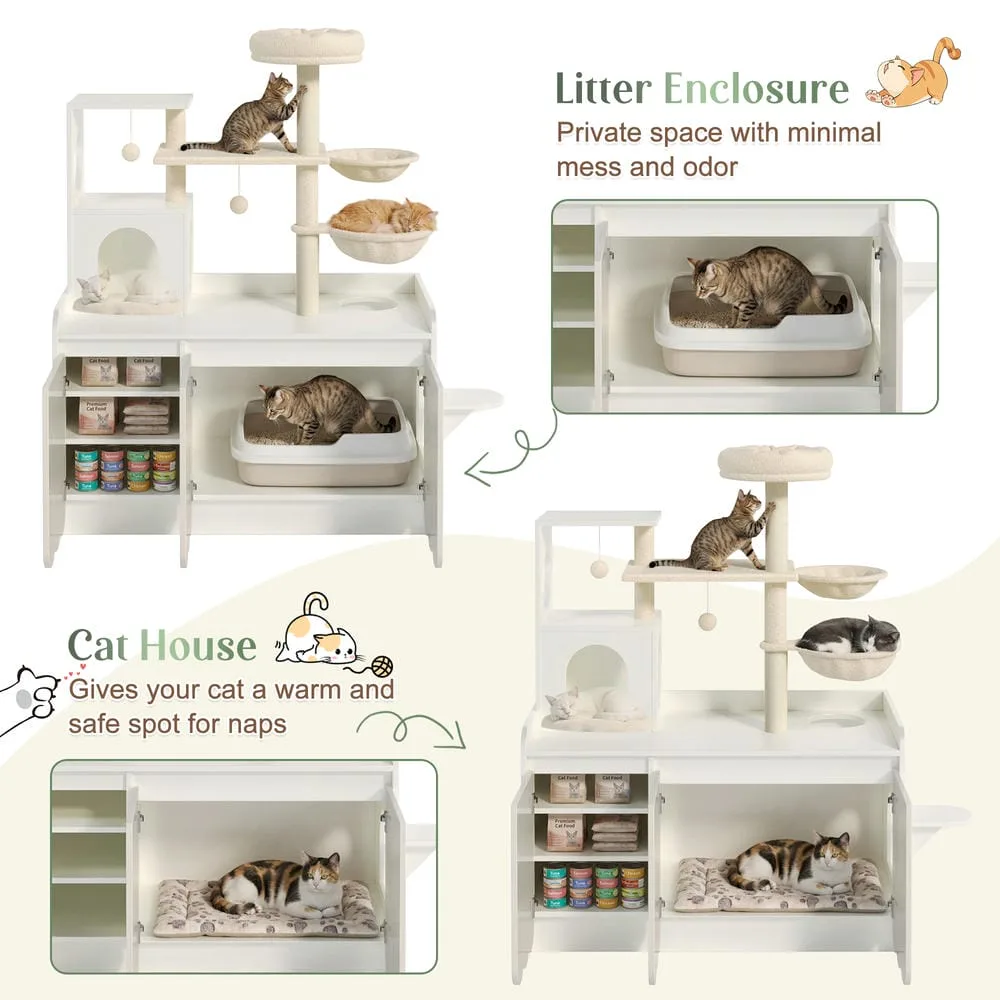 pet cat
