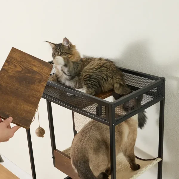 Indoor cat climbing furniture